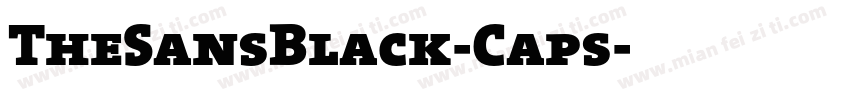 TheSansBlack-Caps字体转换
