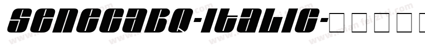 SenecaBQ-Italic字体转换