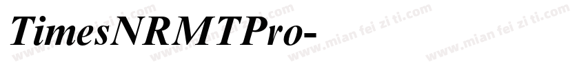 TimesNRMTPro字体转换
