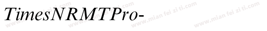 TimesNRMTPro字体转换