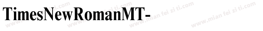 TimesNewRomanMT字体转换