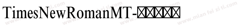 TimesNewRomanMT字体转换