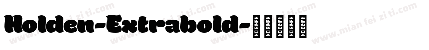 Holden-Extrabold字体转换