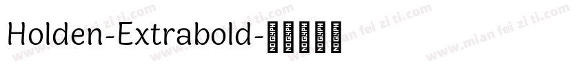 Holden-Extrabold字体转换