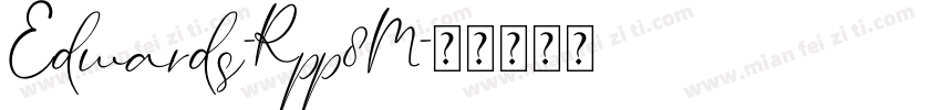 Edwards-Rpp8M字体转换
