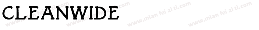 CleanWide字体转换