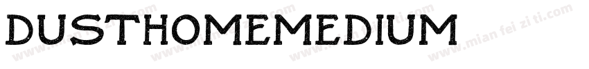 DustHomeMedium字体转换
