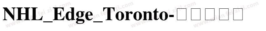 NHL_Edge_Toronto字体转换