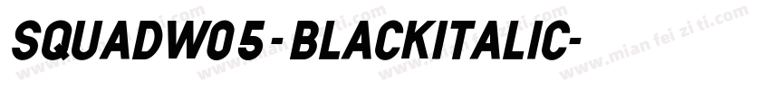 SquadW05-BlackItalic字体转换