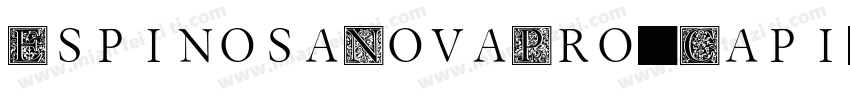 EspinosaNovaPro-Capi字体转换