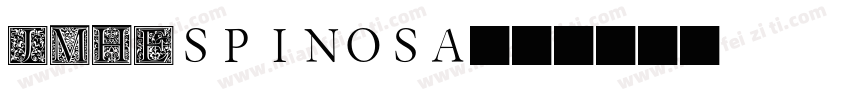 JMHEspinosa字体转换