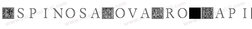 EspinosaNovaPro-Capi字体转换