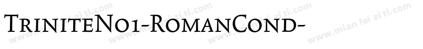 TriniteNo1-RomanCond字体转换