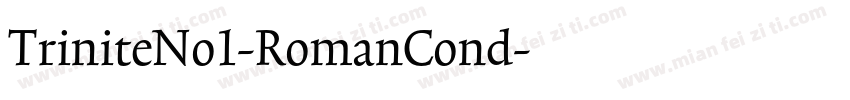 TriniteNo1-RomanCond字体转换