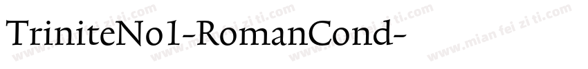 TriniteNo1-RomanCond字体转换