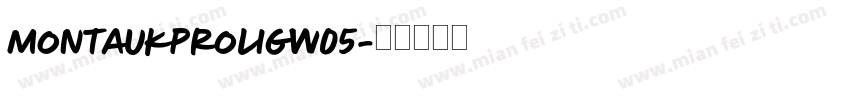 MontaukProLigW05字体转换