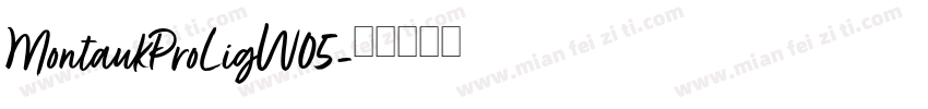 MontaukProLigW05字体转换
