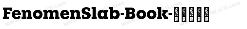 FenomenSlab-Book字体转换