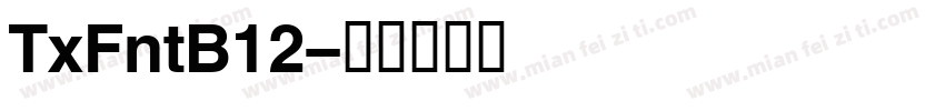 TxFntB12字体转换