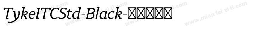 TykeITCStd-Black字体转换