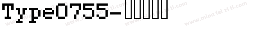 Type0755字体转换