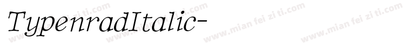 TypenradItalic字体转换