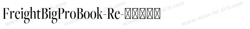 FreightBigProBook-Re字体转换