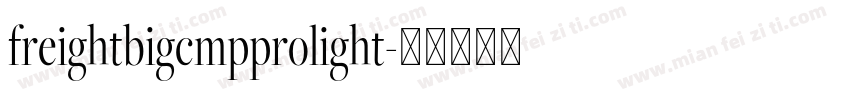 freightbigcmpprolight字体转换