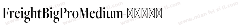 FreightBigProMedium字体转换