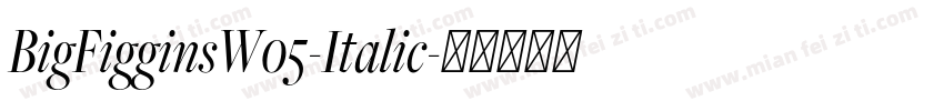 BigFigginsW05-Italic字体转换