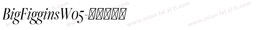BigFigginsW05字体转换