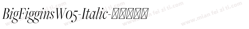 BigFigginsW05-Italic字体转换