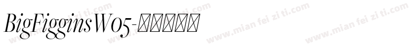 BigFigginsW05字体转换