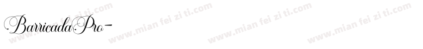 BarricadaPro字体转换