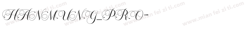 HANMUNG_PRO字体转换