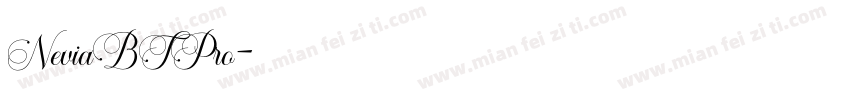 NeviaBTPro字体转换