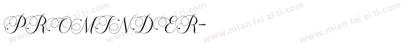 PROMINDER字体转换