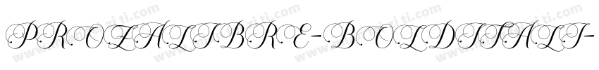 PROZALIBRE-BOLDITALI字体转换