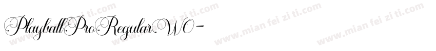 PlayballProRegularW0字体转换