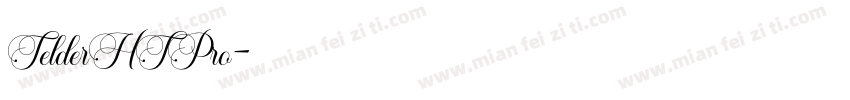 TelderHTPro字体转换