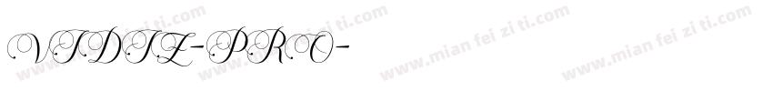 VIDIZ-PRO字体转换