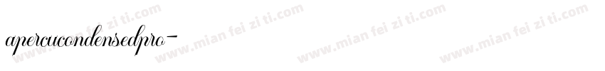 apercucondensedpro字体转换