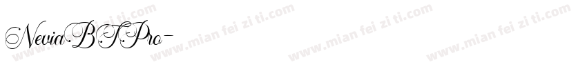 NeviaBTPro字体转换
