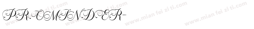 PROMINDER字体转换