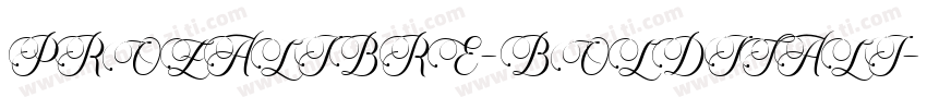 PROZALIBRE-BOLDITALI字体转换