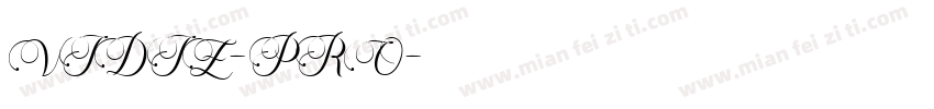 VIDIZ-PRO字体转换