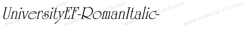 UniversityEF-RomanItalic字体转换