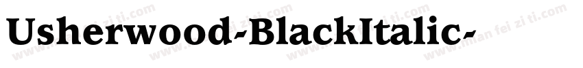 Usherwood-BlackItalic字体转换