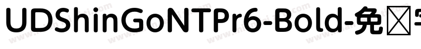UDShinGoNTPr6-Bold字体转换