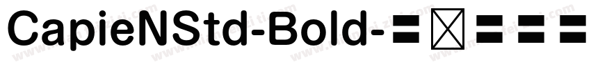CapieNStd-Bold字体转换